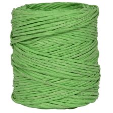 Spago carta colorato verde 1,4 mm - 40 mt