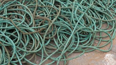 Come conservare le corde dopo l'estate ed evitare muffa e deterioramento