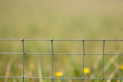 Come tendere i fili di una recinzione agricola senza creare cedimenti